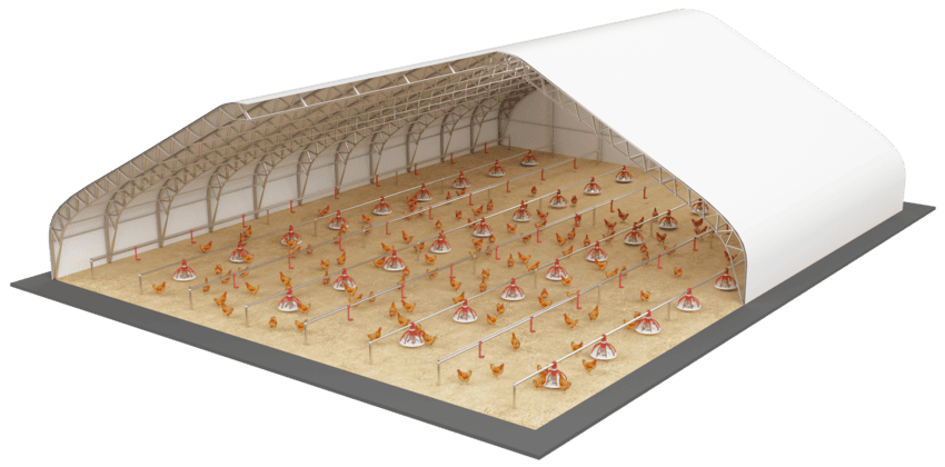 Poultry farm
